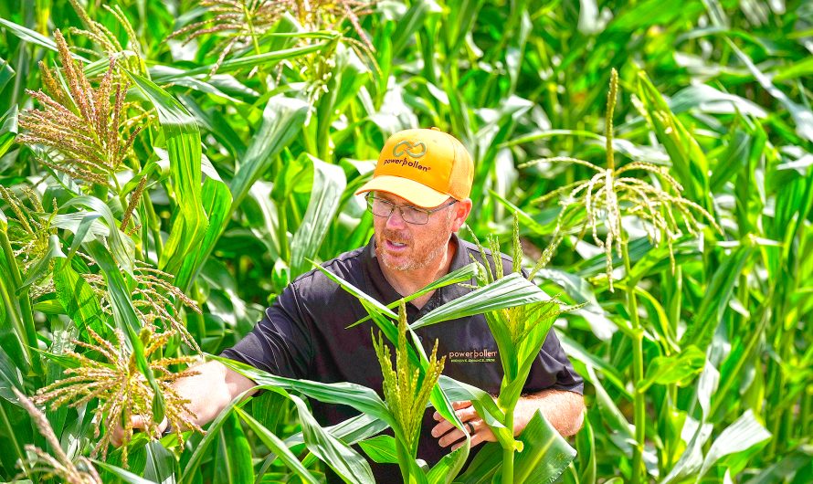 Autonomous tech is coming to farming. What will it mean for crops and workers?